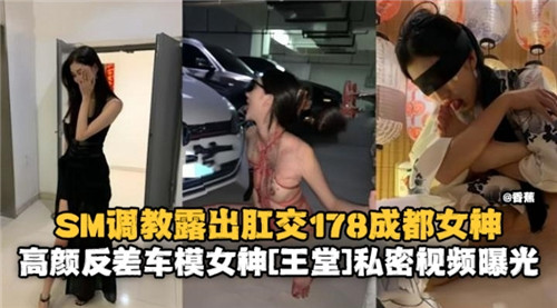 成都女神车模反差调教！SM肛交露出狂干内射